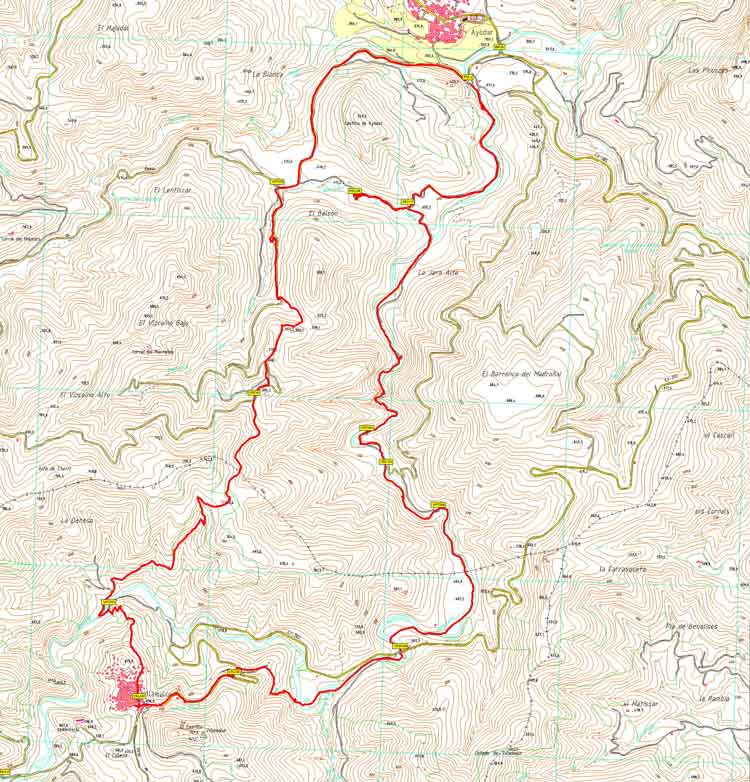 Clic per tornar a la caminada